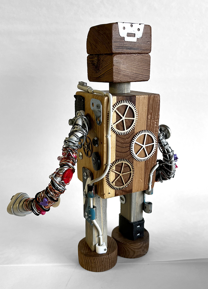 SalvageBot Charjare
